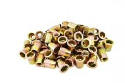 Astro Pneumatic 100 Pieces Steel Rivet Nuts for PRN Series (RN38)