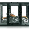CarCapsule 12' Bike ShowCase Black Indoor (BBSH12)