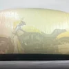 CarCapsule 9' BikeCapsule Outdoor (BBO9F)