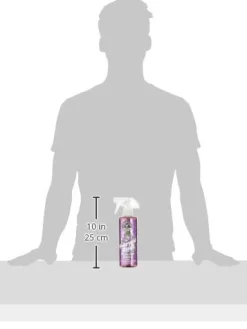 Chemical Guys 16oz Purple Stuff Grape Air Freshener (AIR_222_16)