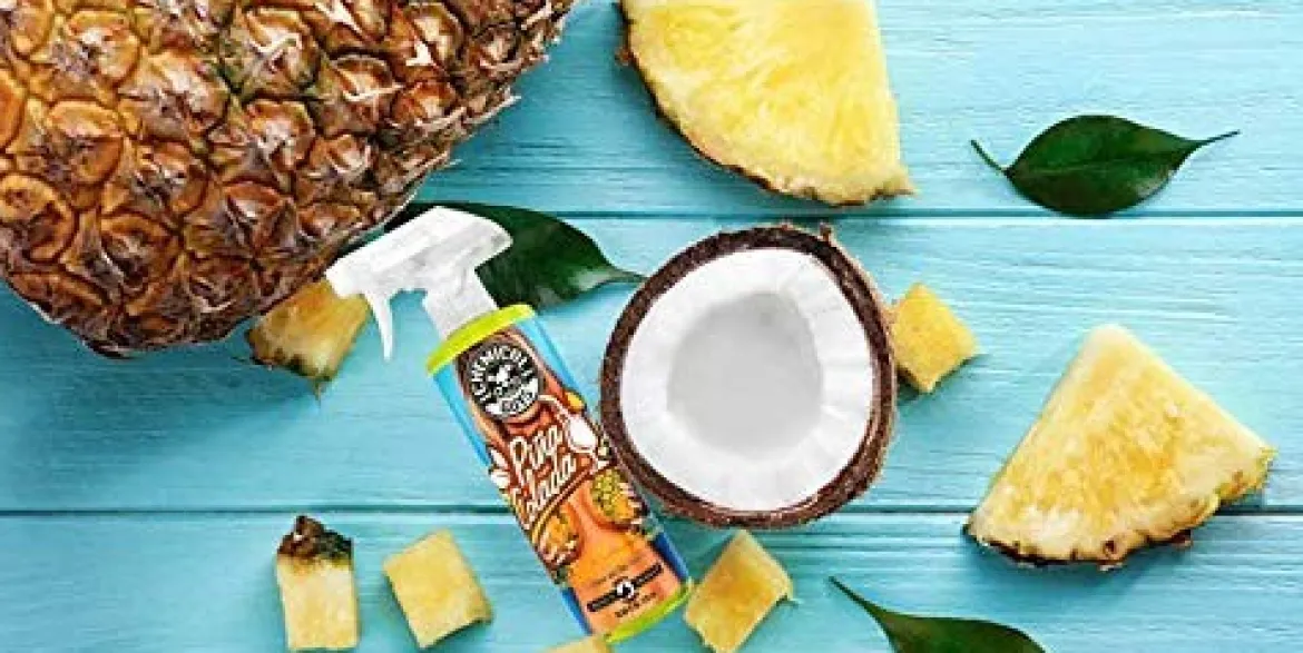 Chemical Guys Pi��a Colada Air Freshener (AIR22916)