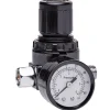Eastwood Concours Pro 0-80 PSI On-Gun Air Regulator (31834)