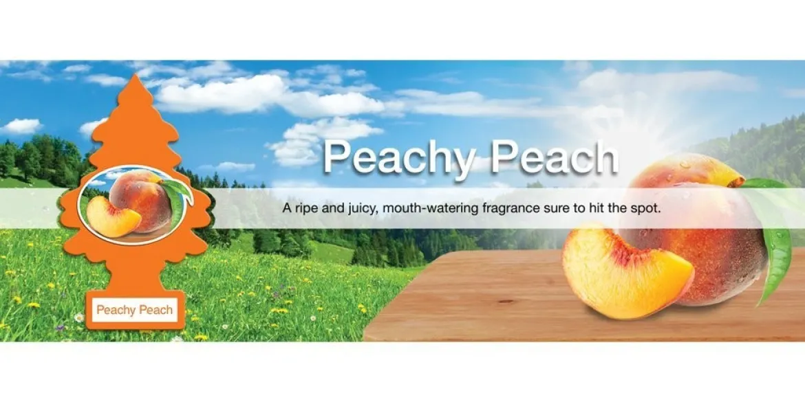 Little Trees Air Fresheners 6-Pack Peachy Peach