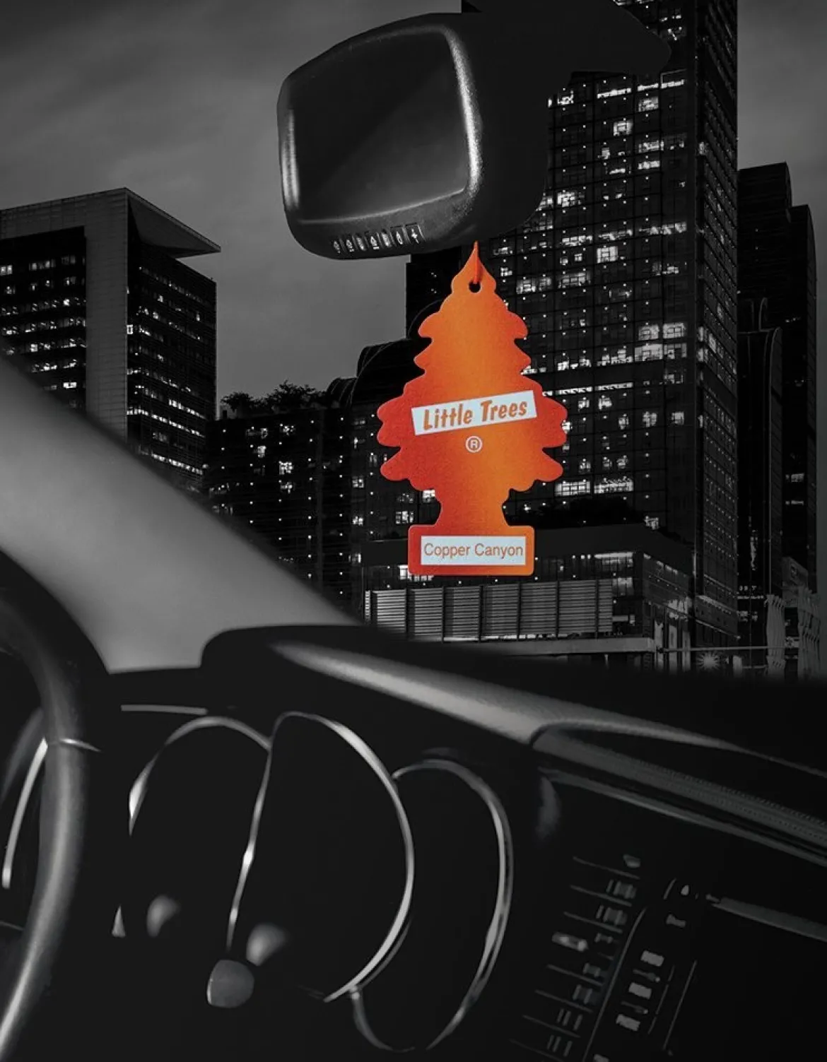Little Trees Air Fresheners 6-Pack Copper Canyon