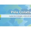 Little Trees Air Fresheners 6-Pack Pia Colada