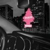 Little Trees Air Fresheners 6-Pack Morning Fresh