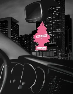 Little Trees Air Fresheners 6-Pack Morning Fresh