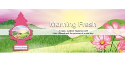 Little Trees Air Fresheners 6-Pack Morning Fresh