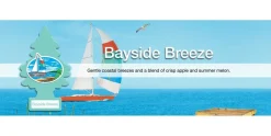 Little Trees Air Fresheners 6-Pack Bayside Breeze