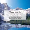 Little Trees CTK-52641-24 Air Car Freshener Vent Liquid True North, 4-Pack