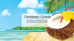 Little Trees CTK-52625-24 Air Car Freshener Vent Liquid Caribbean Colada, 4-Pack
