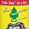Little Trees In A Can Aerosol Sprays Black Ice