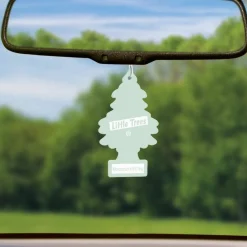 Little Trees U6P-60262 Air Car Freshener Traditional Maroccan Mint Tea, 6-Pack