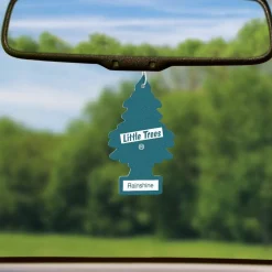 Little Trees U6P-60249 Air Car Freshener Traditional Rainshine, 6-Pack