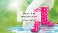 Little Trees U6P-60249 Air Car Freshener Traditional Rainshine, 6-Pack