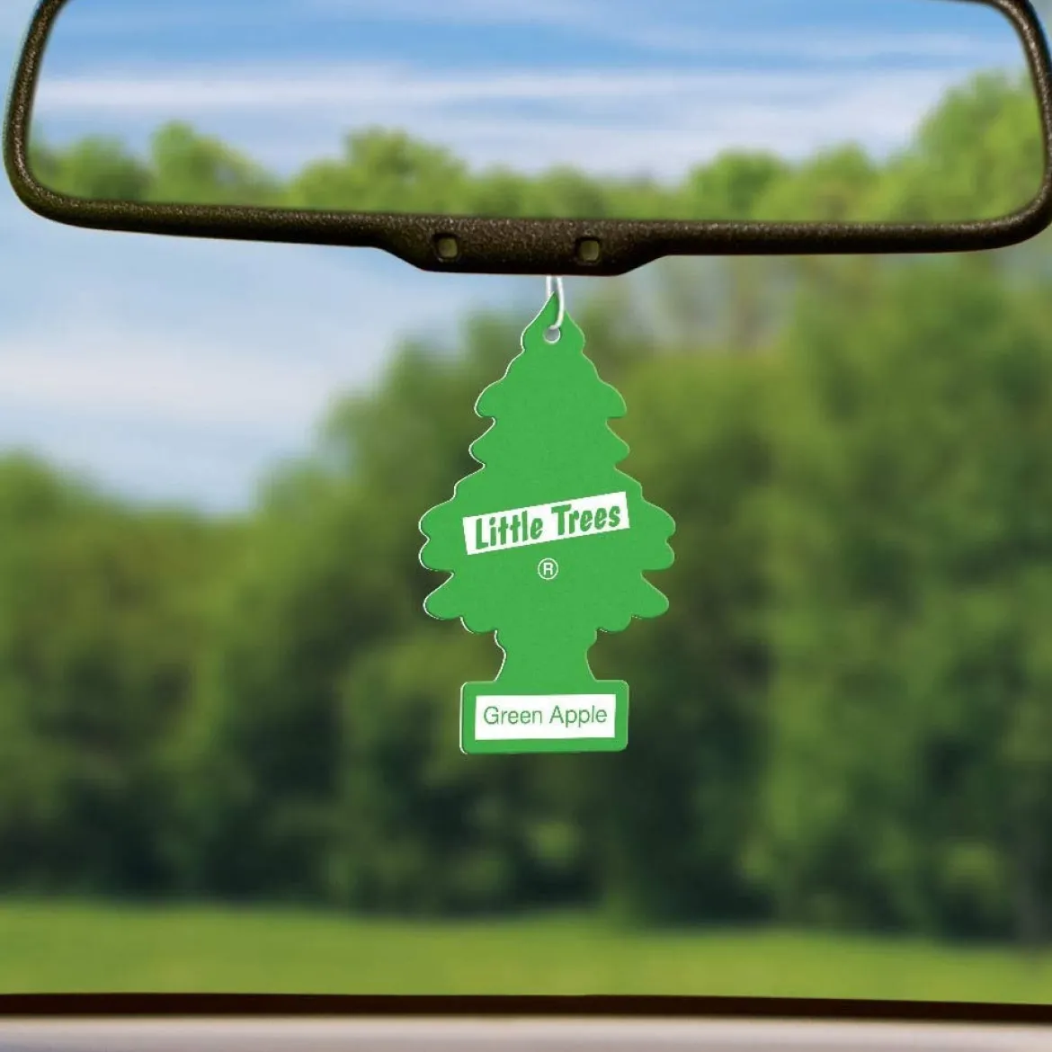 Little Trees U6P-60316 Air Car Freshener Traditional Green Apple, 6-Pack