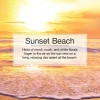 Little Trees U6P-67177 Air Car Freshener Traditional Sunset Beach, 6-Pack