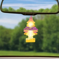 Little Trees U6P-67177 Air Car Freshener Traditional Sunset Beach, 6-Pack