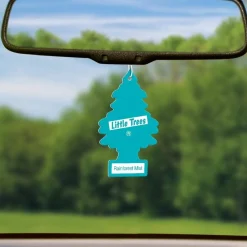 Little Trees U6P-60106 Air Car Freshener Traditional Rainforest Mist, 6-Pack