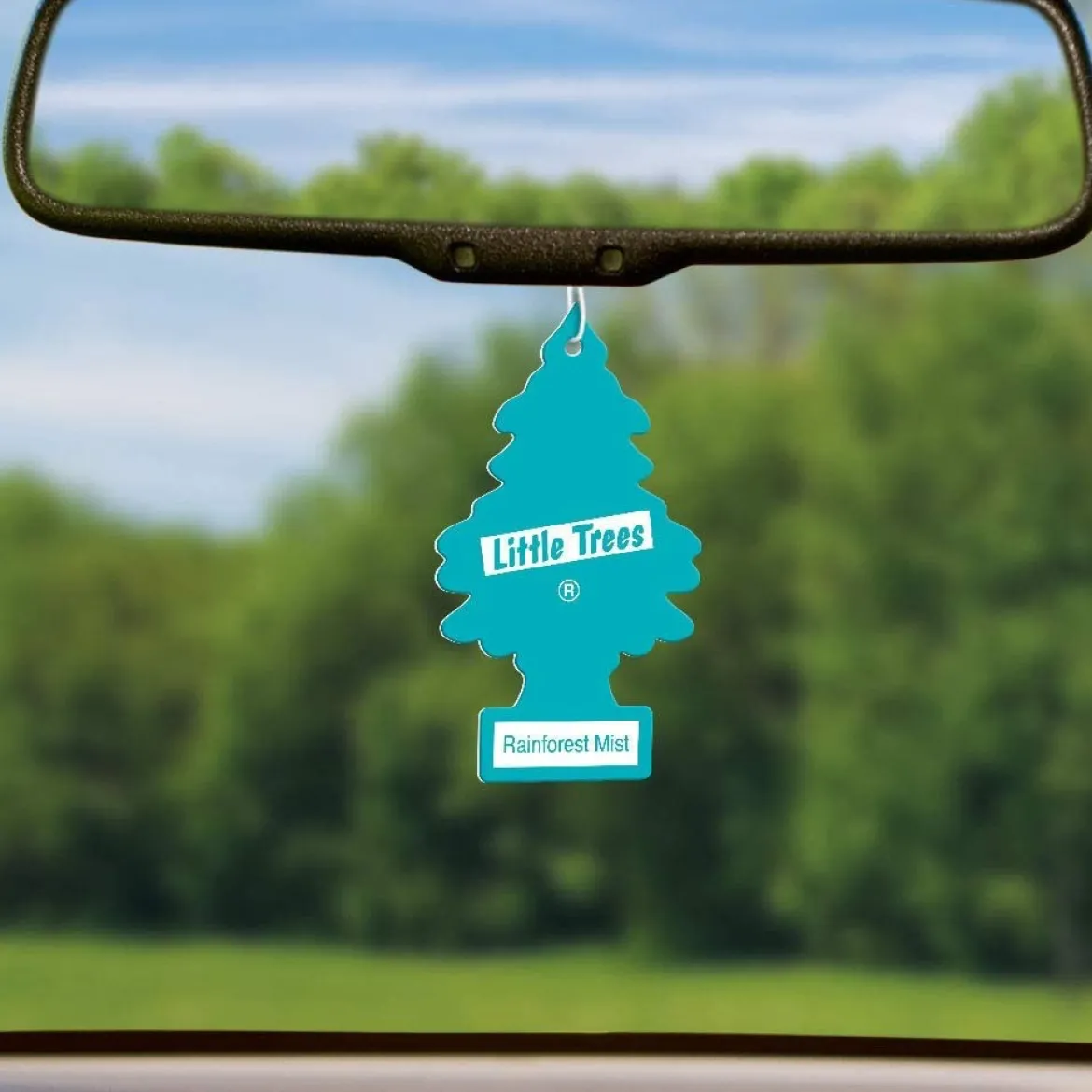 Little Trees U6P-60106 Air Car Freshener Traditional Rainforest Mist, 6-Pack