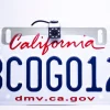 Master Tailgaters Small License Plate Frame Backup or Front Camera with 8 IR LED Night Vision (MC-L3)
