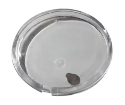 Mastercool 85253-E Replacement Lens for 2-1/2" Gauge
