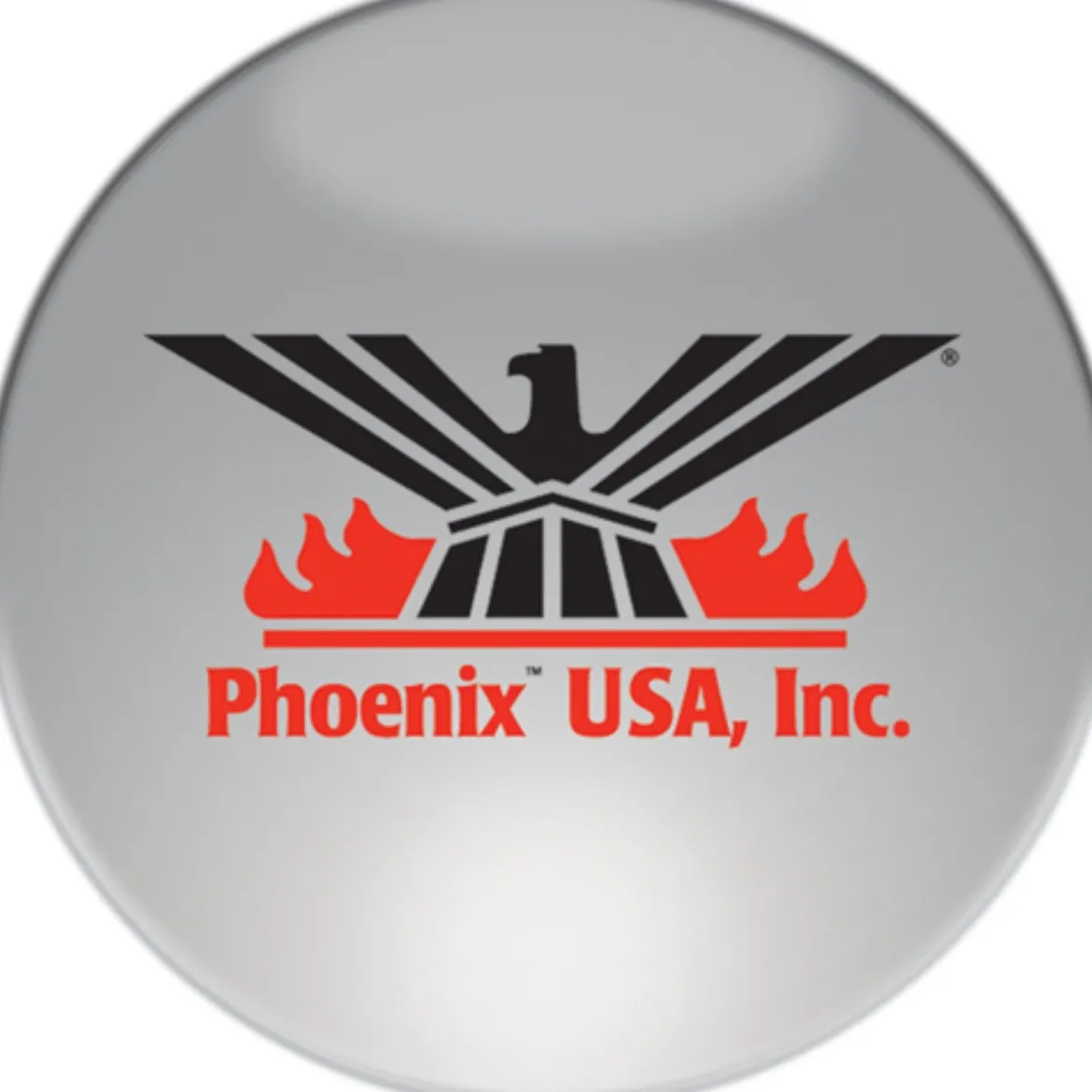 Phoenix USA 2.5" Round Grommet Light Bezel (PH4872)