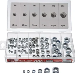 Titan Tools 100pc Metric Nylon Locknut Assortment (45243)