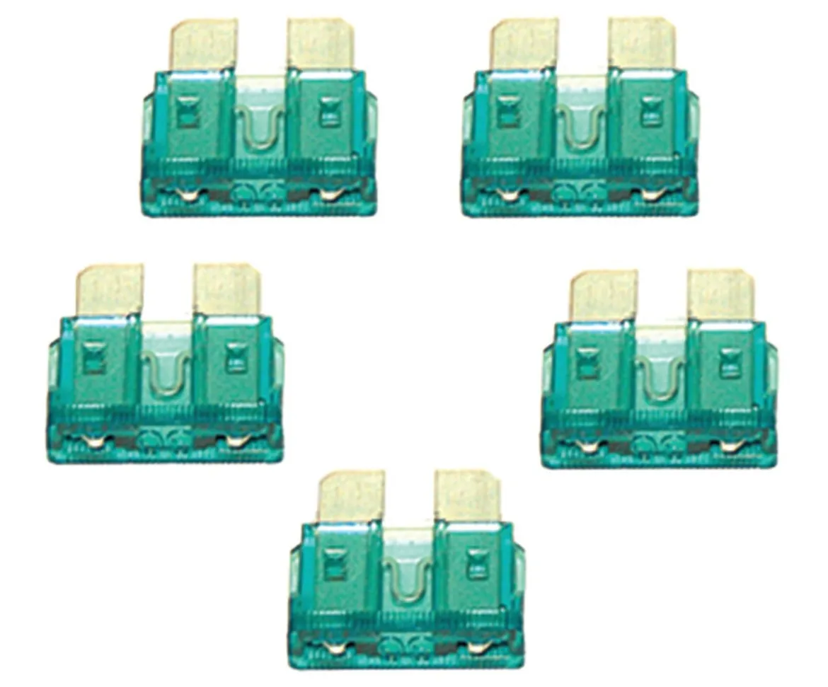 VIAIR 30-Amp Automotive Fuses Durable Electrical Safety Pack 5 Units (92932)
