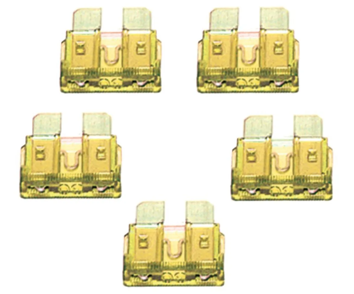 VIAIR 20-Amp Fuses for Reliable Circuit Protection, 5-Pack (92931)